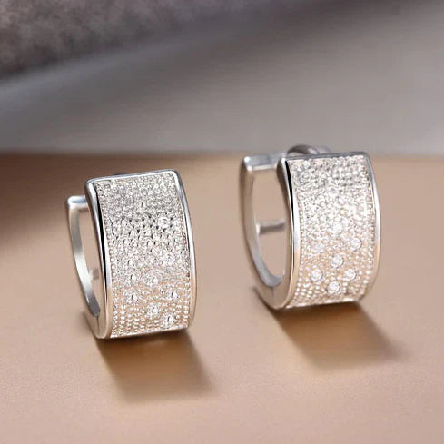 Chic Shimmering Silver Earrings