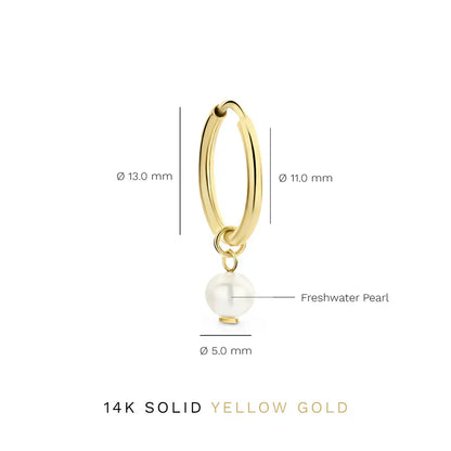 Gold Delia Crest Earrings