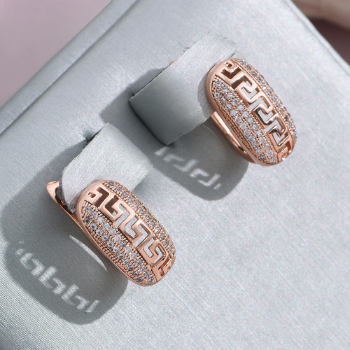 Chic Radiant Hollow Earrings